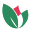 Bud Break Innovations logo